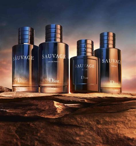 dior sauvage vivantis|Sauvage: das Universum des ikonischen Dior Herrendufts .